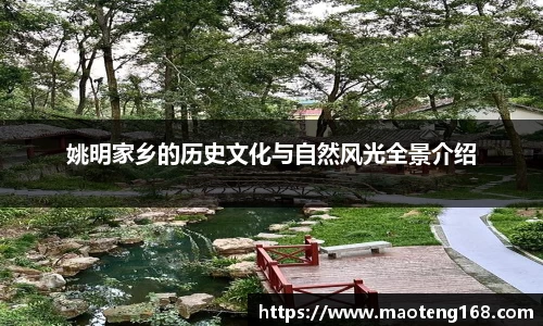 姚明家乡的历史文化与自然风光全景介绍